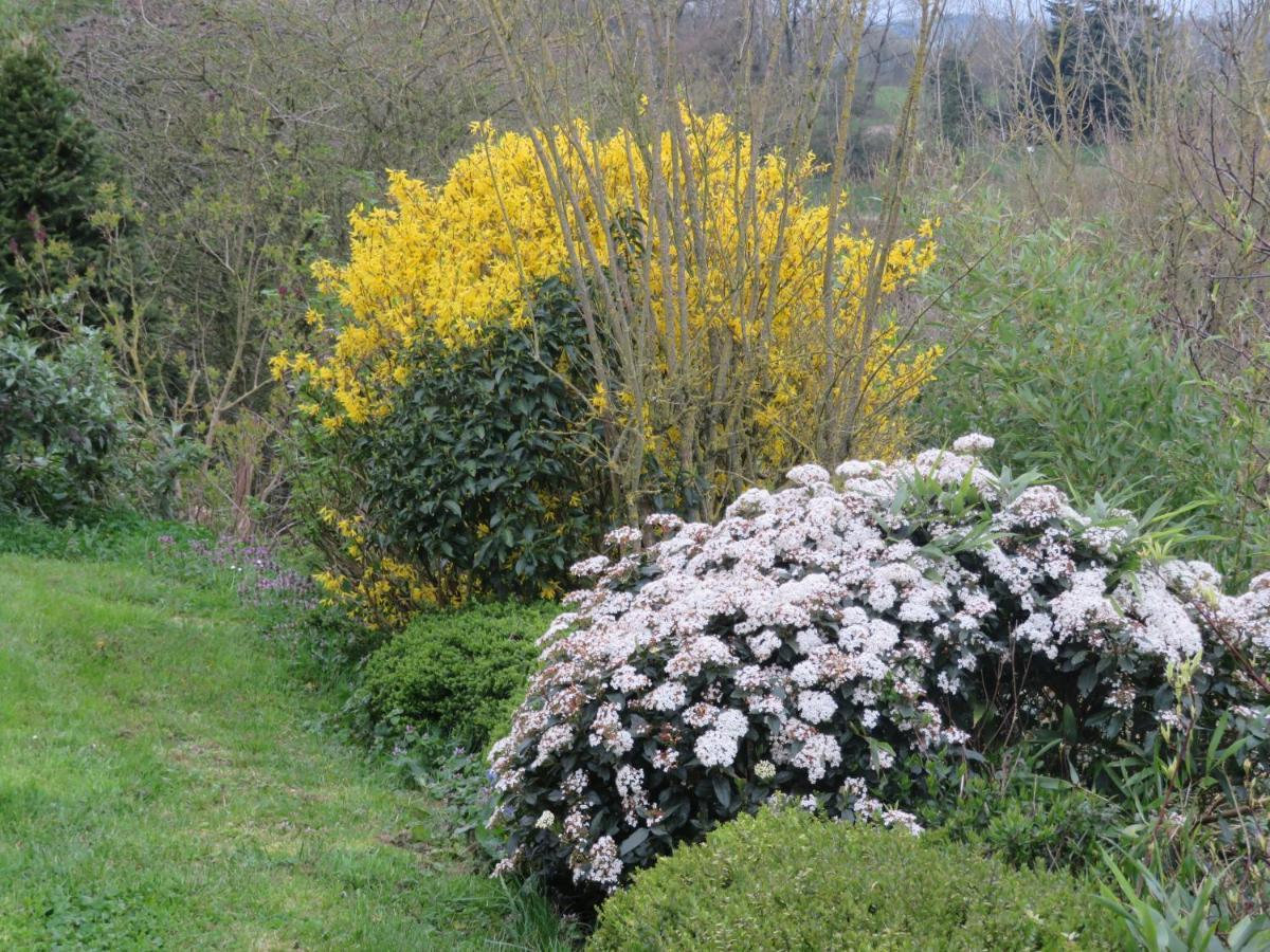 Ecrin De Verdure Sainte-Suzanne  Εξωτερικό φωτογραφία