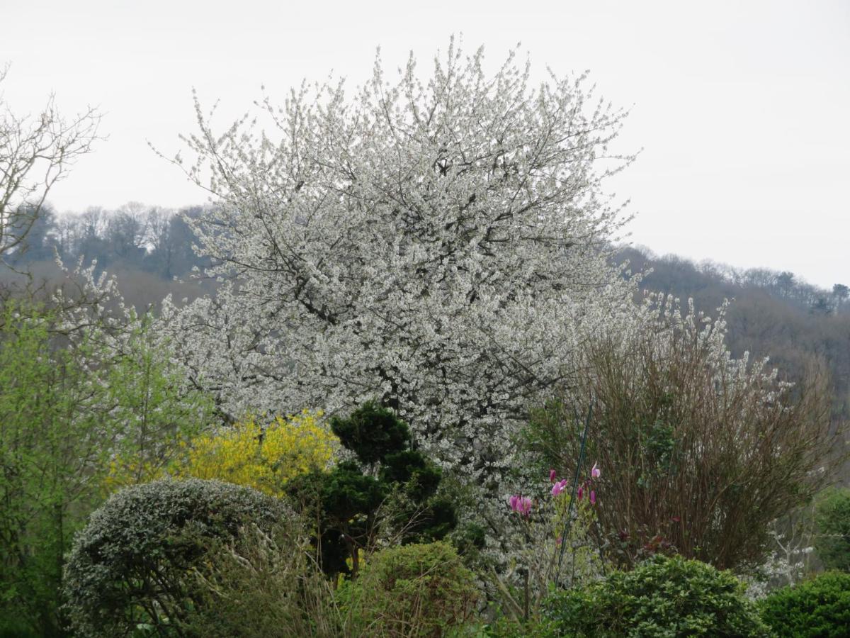 Ecrin De Verdure Sainte-Suzanne  Εξωτερικό φωτογραφία