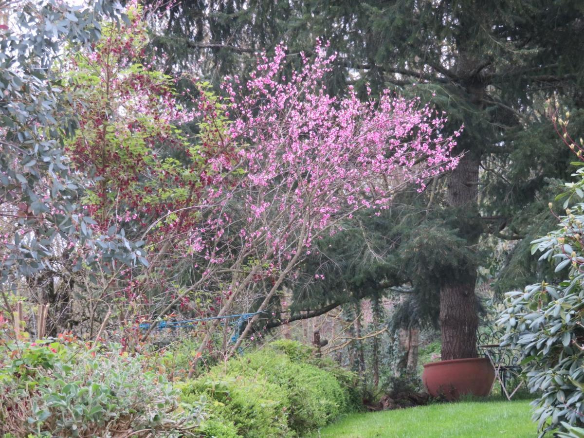 Ecrin De Verdure Sainte-Suzanne  Εξωτερικό φωτογραφία