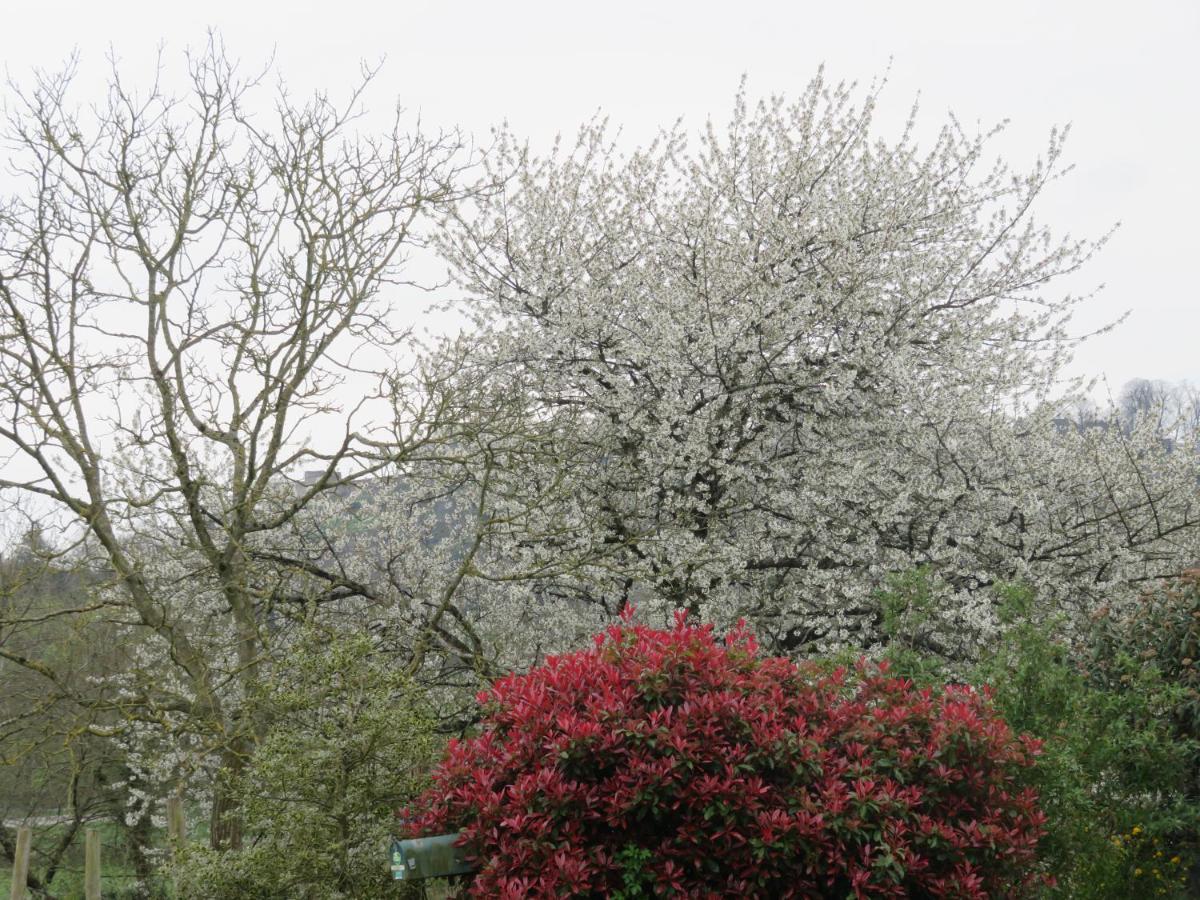 Ecrin De Verdure Sainte-Suzanne  Εξωτερικό φωτογραφία